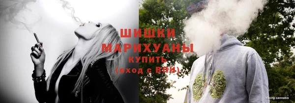 PSILOCYBIN Алзамай