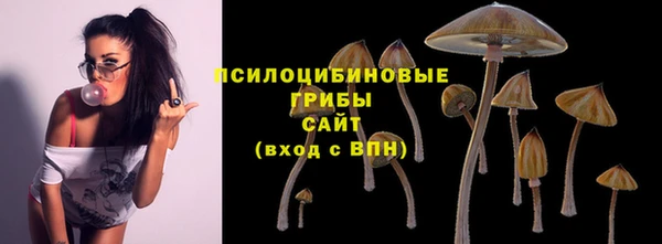PSILOCYBIN Алзамай