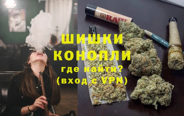 PSILOCYBIN Алзамай
